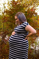 Megan and Bryan Maternity Photoshoot 10-21-17