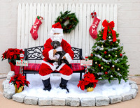 Agway Pet Photos with Santa 11-24-18
