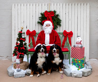 Agway's Pet Photos with Santa 12-1-19