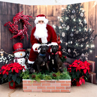 Agway Pet Santa Pictures 12-11-21